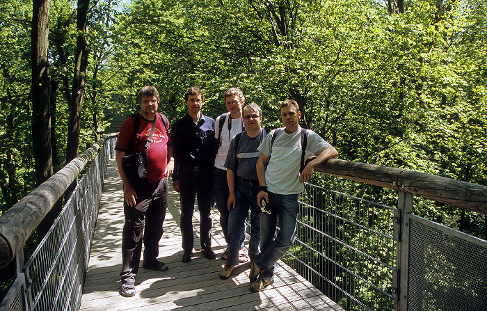 Nationalpark Hainich: Baumkronenpfad: Jürgen, Jörg, Boris, Uwe, Ralph