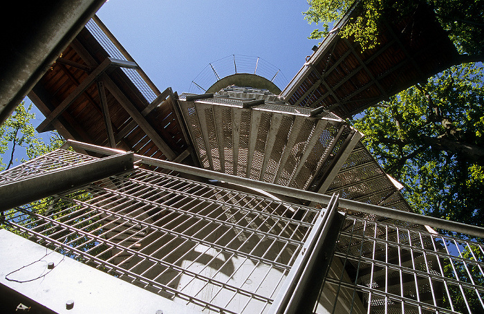 Nationalpark Hainich: Baumturm Hainich