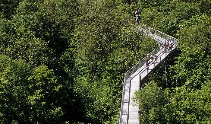Nationalpark Hainich: Baumkronenpfad