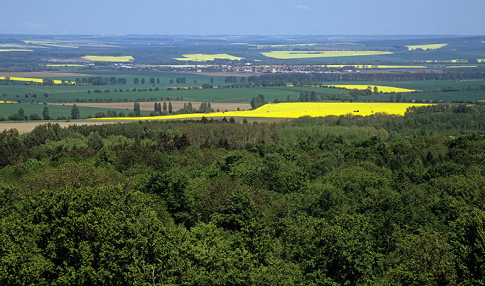 Nationalpark Hainich: Blick vom Baumturm des Baumkronenpfades Hainich