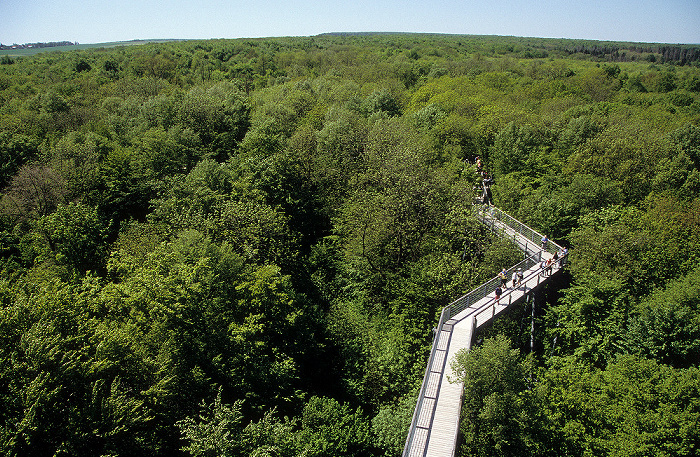 Nationalpark Hainich: Baumkronenpfad