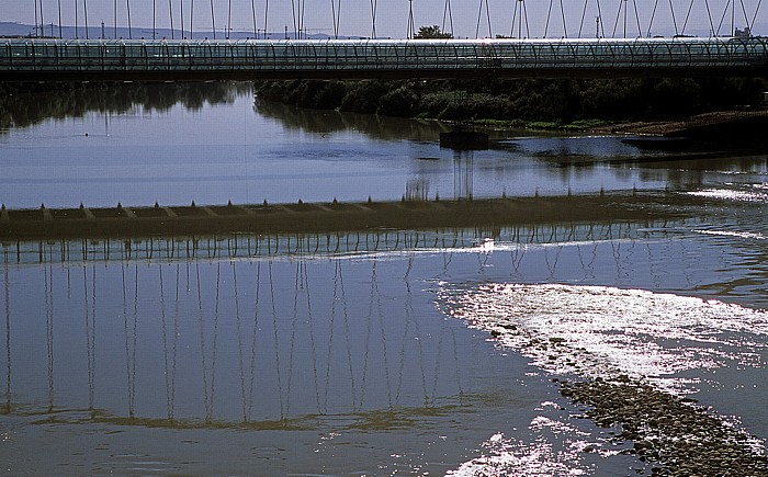 Ebro, Brücke des Dritten Jahrtausends (Puente del Tercer Milenio) Saragossa