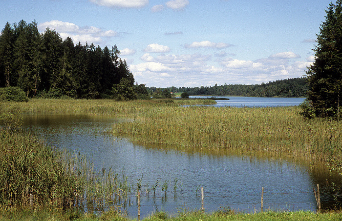 Osterseen Großer Ostersee