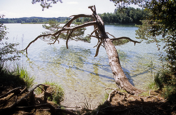 Osterseen Großer Ostersee