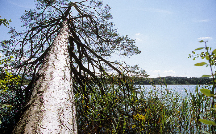 Osterseen Großer Ostersee