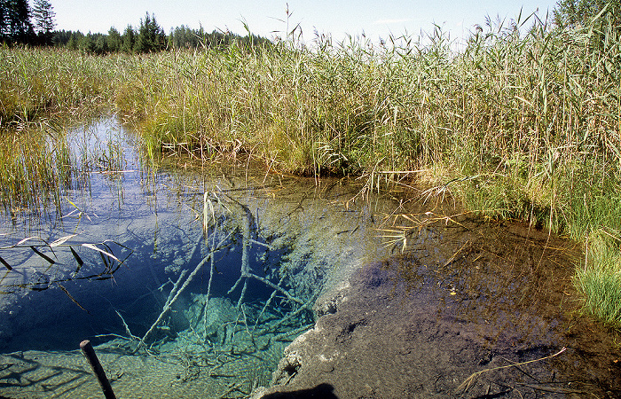 Osterseen Großer Ostersee: Quelltrichter am Westufer