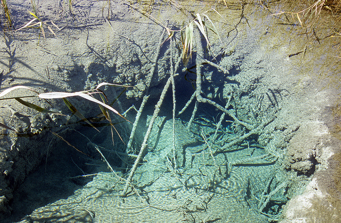 Osterseen Großer Ostersee: Quelltrichter am Westufer