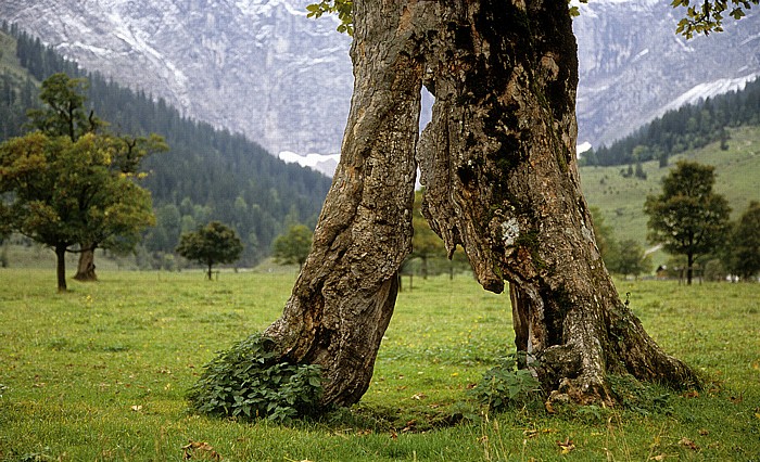 Rißtal, Karwendelgebirge Großer Ahornboden