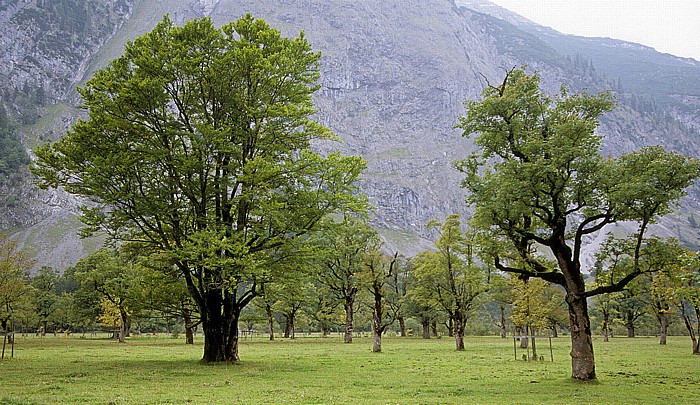 Großer Ahornboden Rißtal, Karwendelgebirge