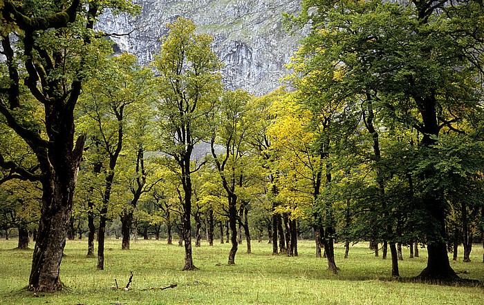 Rißtal, Karwendelgebirge Großer Ahornboden