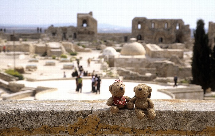 Aleppo Zitadelle: Teddine und Teddy