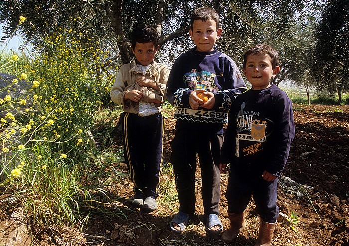 Syrische Kinder Qatura