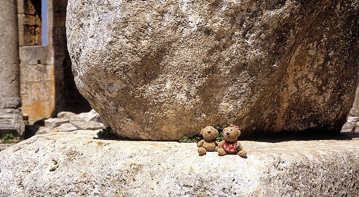 Qalaat Seman Die Toten Städte: Simeonskloster: Pilgerkirche: Oktogonalhof mit der Säulenbasis: Teddy und Teddine