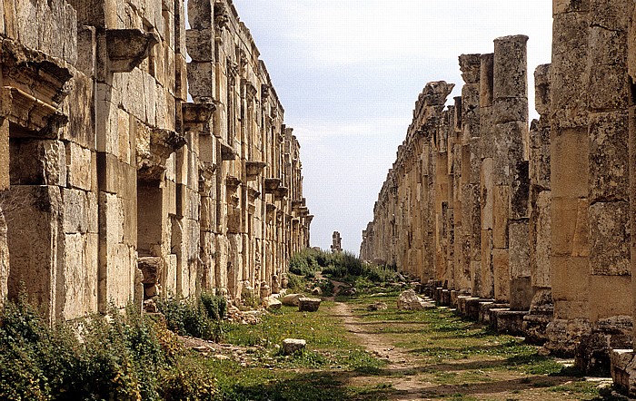 Ruinengelände: Säulenstraße Apameia am Orontes