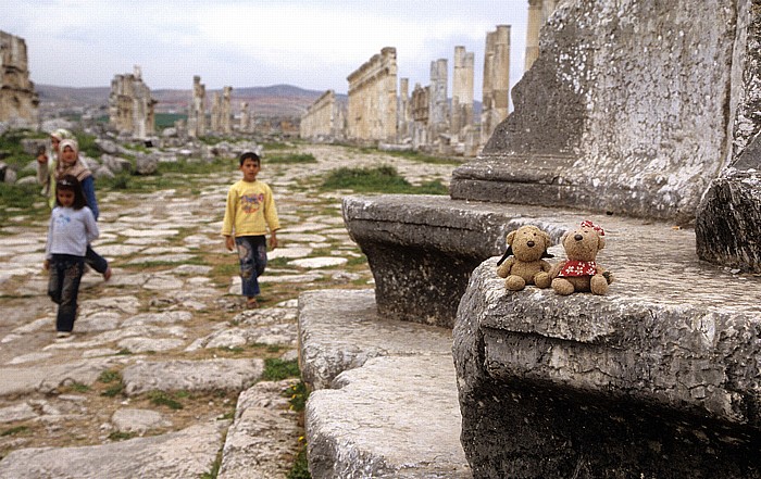 Apameia am Orontes Ruinengelände: Säulenstraße, Monumentalsäule mit Teddy und Teddine