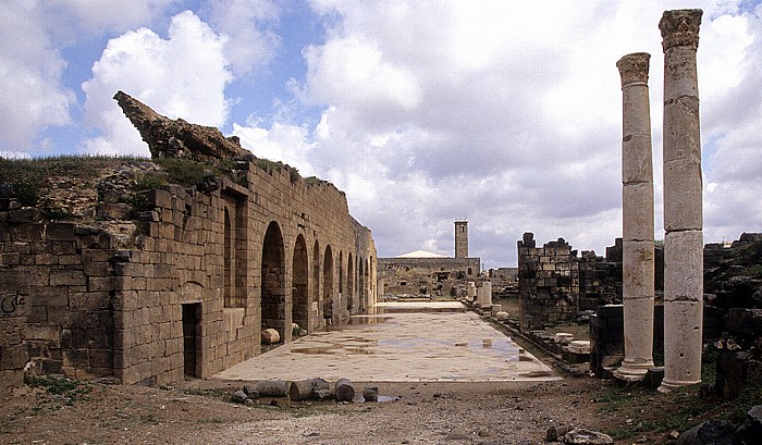 Ruinengelände: Khan al-Dib (Zuckermarkt), Nymphäum Bosra