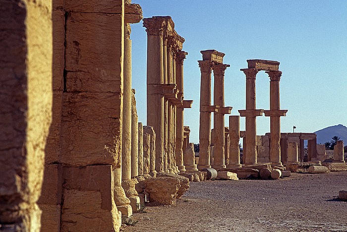 Palmyra Ruinengelände: Theaterplatz