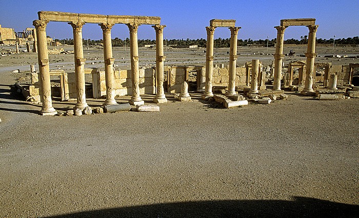 Palmyra Ruinengelände: Blick vom Theater Baal-Tempel Peristylhaus Theaterplatz