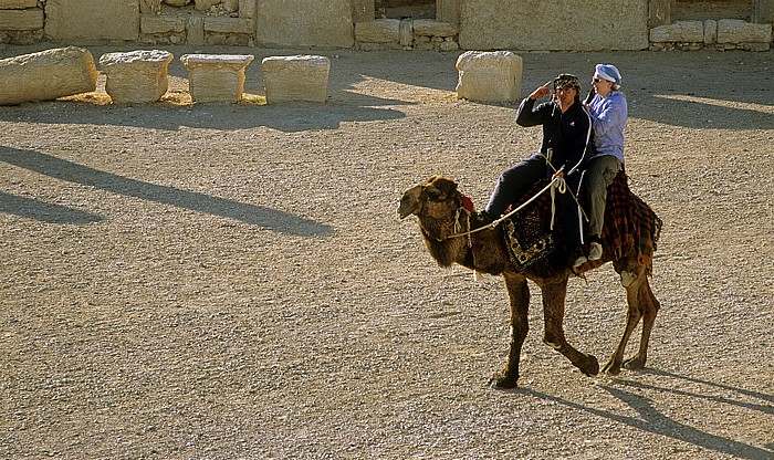 Ruinengelände: Blick vom Theater: Theaterplatz mit Touristen-Kamel Palmyra