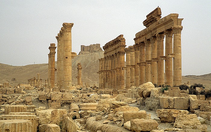 Palmyra Ruinengelände: Große Säulenstraße Qalaat Ibn Maan