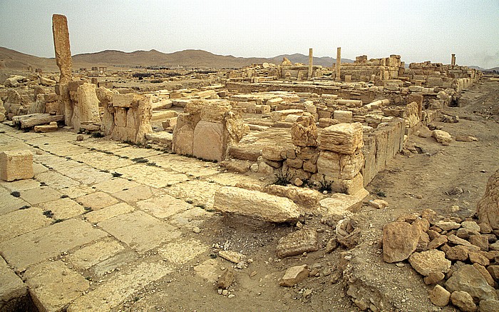 Ruinengelände: Militärlager des Diokletian Palmyra