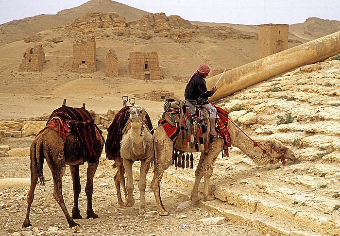 Palmyra Ruinengelände: Militärlager des Diokletian Tal der Gräber