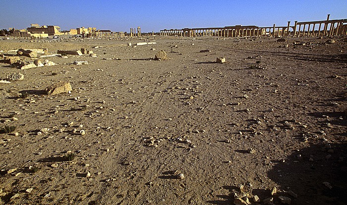 Ruinengelände: Große Säulenstraße Palmyra