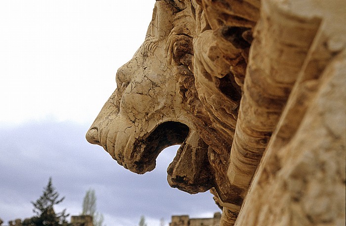 Baalbek Römischer Sakralbezirk: Tempel des Jupiter Heliopolitanus: Löwenkopf