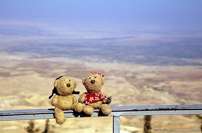 Berg Nebo (Jebel Siyagha): Teddy und Teddine