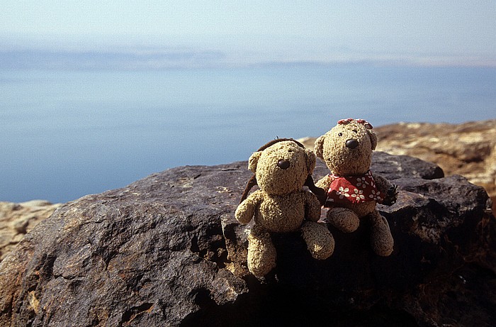 Totes Meer Dead Sea Panoramic Complex: Teddy und Teddine