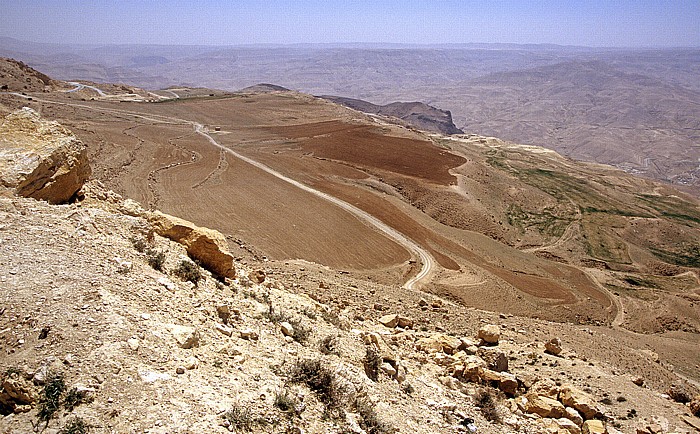 Wadi Hasa