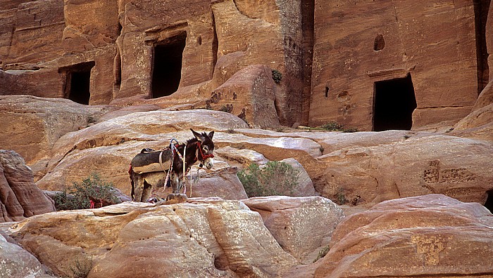 Äußerer Sik (Siq): Gräber Petra