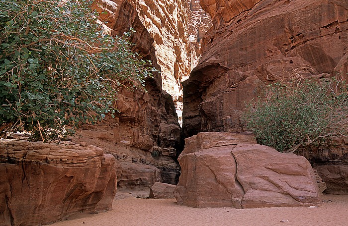 Wadi Rum Khaz'ali Canyon