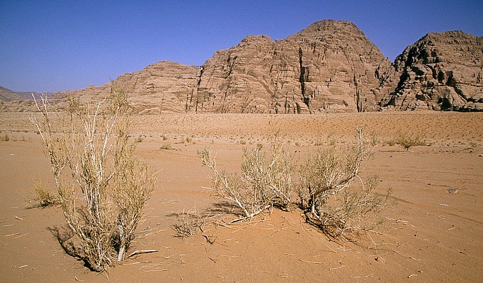 Wadi Rum Burdah Burdah-Felsenbrücke