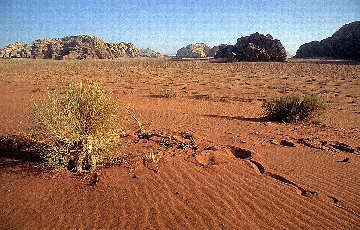 Wadi Rum Sanddüne