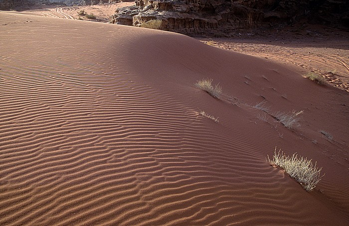 Wadi Rum Ar Rak'a: Sanddüne
