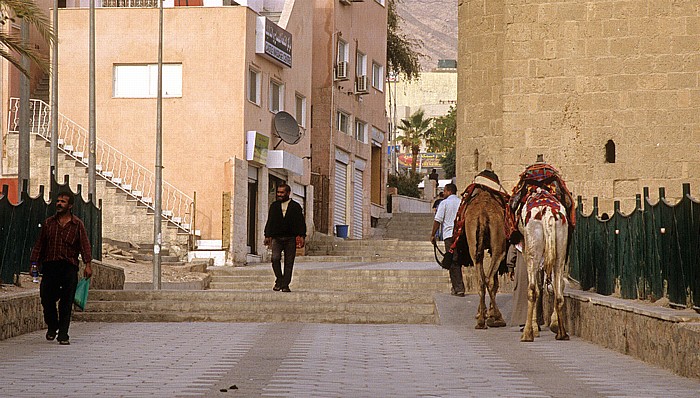 Kamele beim Stadtbummel Aqaba