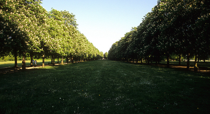 Schlosspark Pillnitz: Maillebahn Dresden