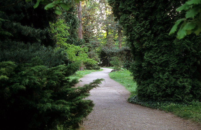 Dresden Schlosspark Pillnitz