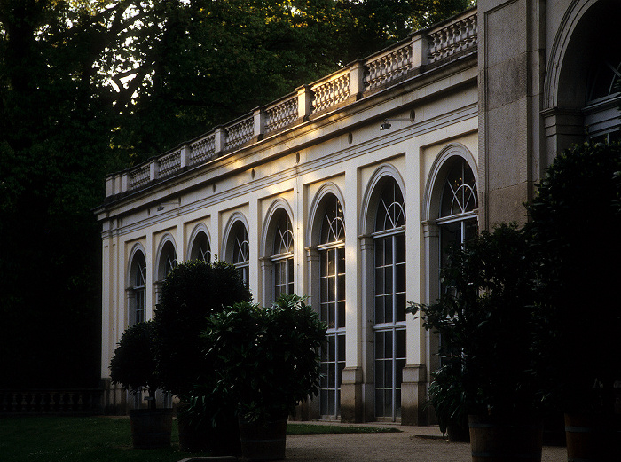 Dresden Schlosspark Pillnitz: Orangerie