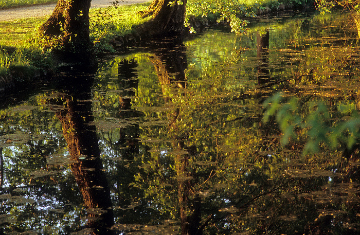 Dresden Schlosspark Pillnitz: Englischer Garten