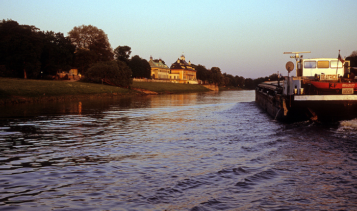 Dresden Schlosspark Pillnitz, Elbe