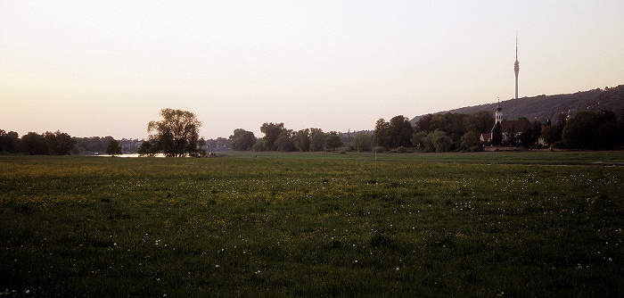 Dresden Elbe