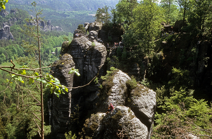 Blick von der Bastei: Elbsandsteingebirge, Amselgrund Sächsische Schweiz