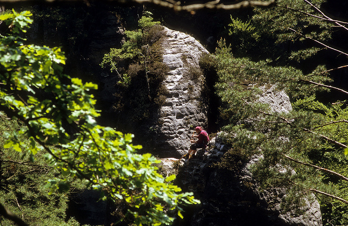 Blick von der Bastei: Kletterer Sächsische Schweiz