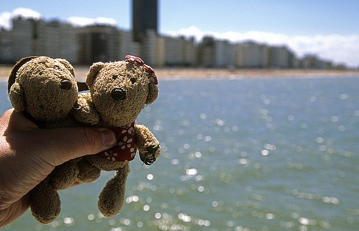 Ostende Nordsee: Teddy und Teddine