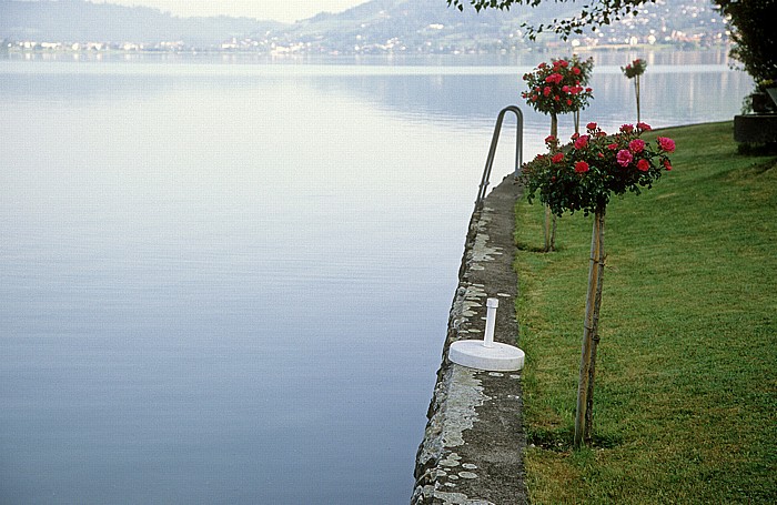 Ägerisee Morgarten