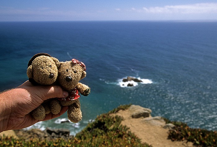 Cabo da Roca Atlantik: Teddy, Teddine