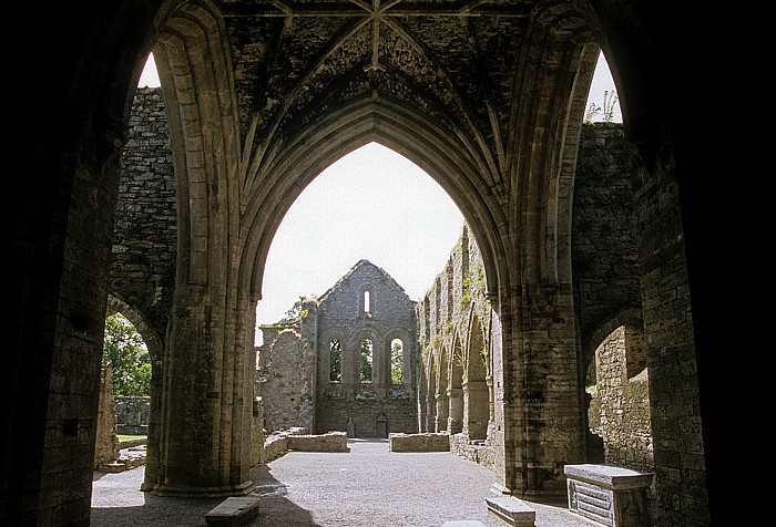 Thomastown Jerpoint Abbey (Zisterzienserabtei Jerpoint): Blick aus dem Kreuzturm