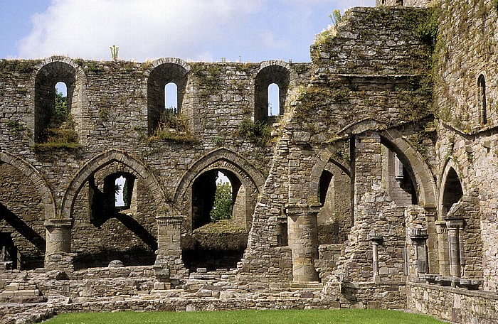 Thomastown Jerpoint Abbey (Zisterzienserabtei Jerpoint): Hauptschiff, Nördliches Seitenschiff